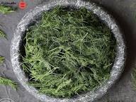 تصویر 1 از فروش عمده شوید خشک صادراتی؛ محصولی با عطر ماندگار و رنگ طبیعی